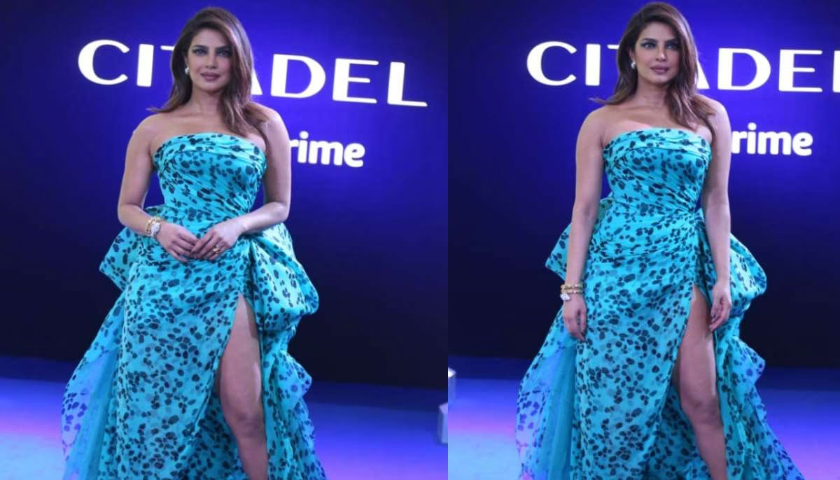 Priyanka Chopra Turns Into a Meme Yet Again, This Time for Her Dress at Met  Gala - News18