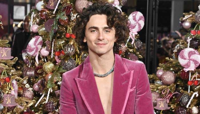 Timothée Chalamet hopeful about 'Wonka' success, 'I'll let people judge