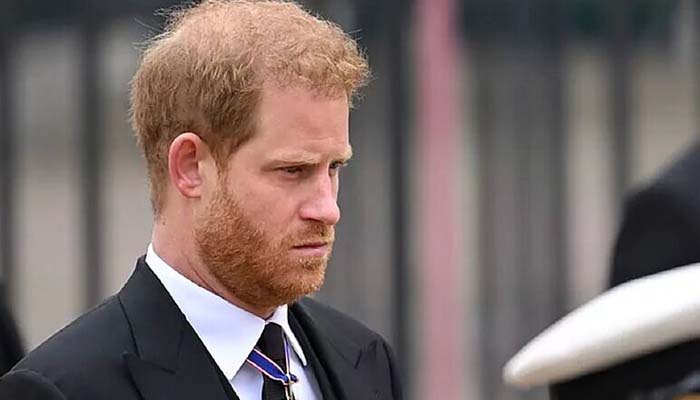 Prince Harry encouraged to 'return' to royal duties amid ongoing challenges